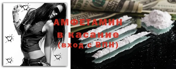 хмурый Пересвет
