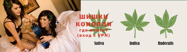 спиды Алзамай